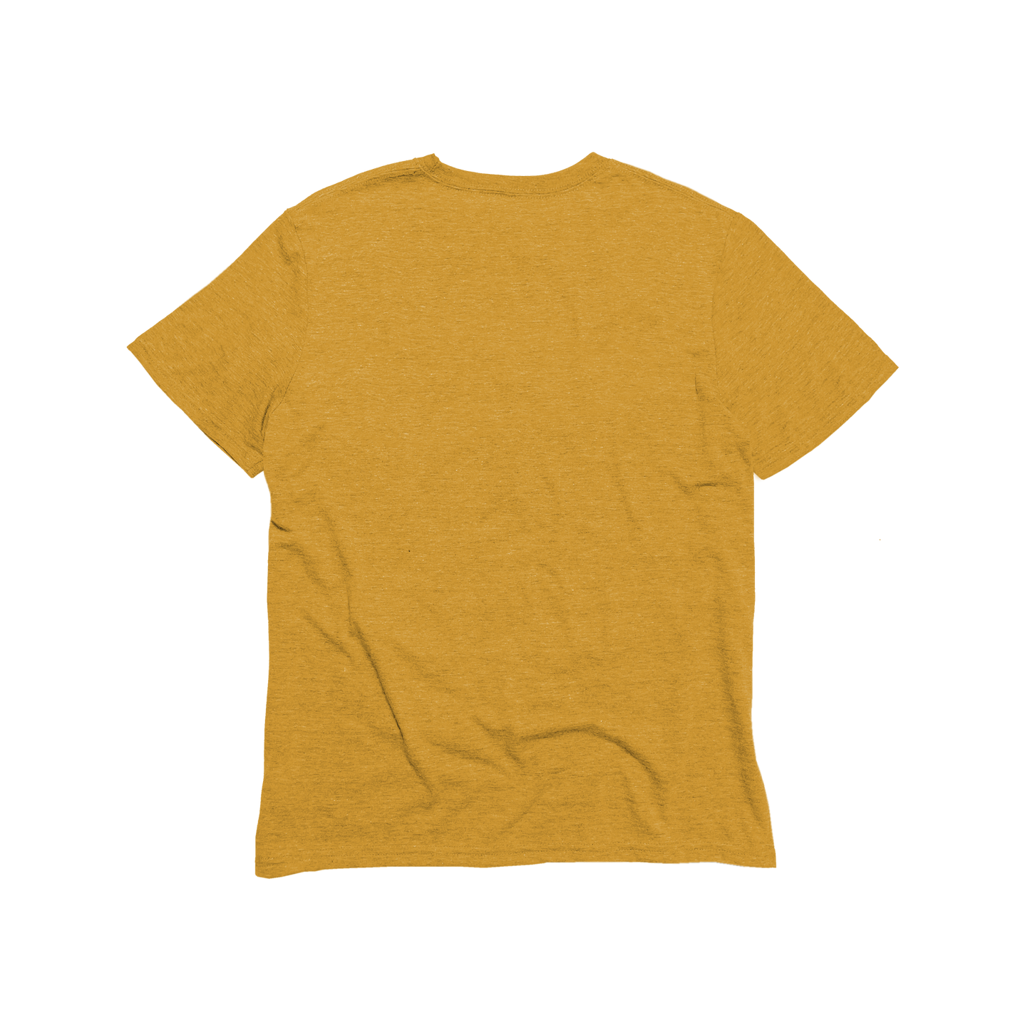 Unisex Eco-Triblend Tee (Fashion Colors)