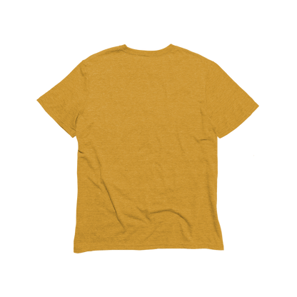 Unisex Eco-Triblend Tee (Fashion Colors)