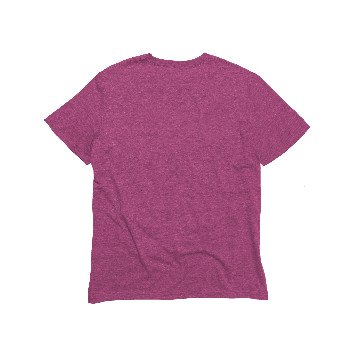 Unisex Eco-Triblend Tee (Fashion Colors)