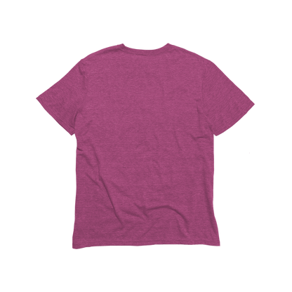 Unisex Eco-Triblend Tee (Fashion Colors)