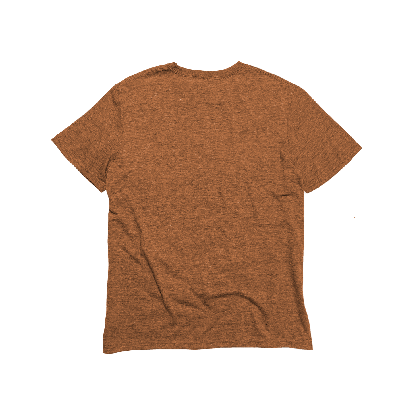 Unisex Eco-Triblend Tee (Fashion Colors)