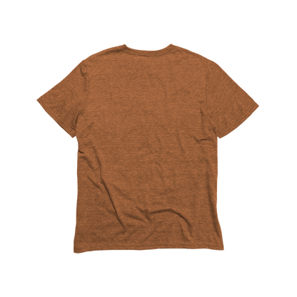 Unisex Eco-Triblend Tee (Fashion Colors)